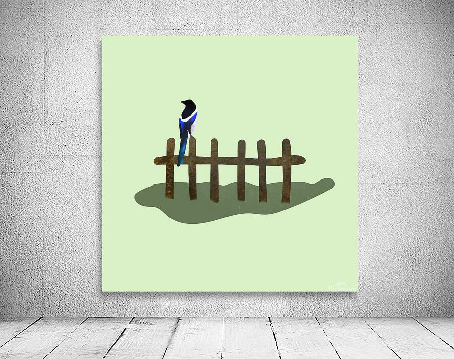 Bird Magpie Wings Wall Preview