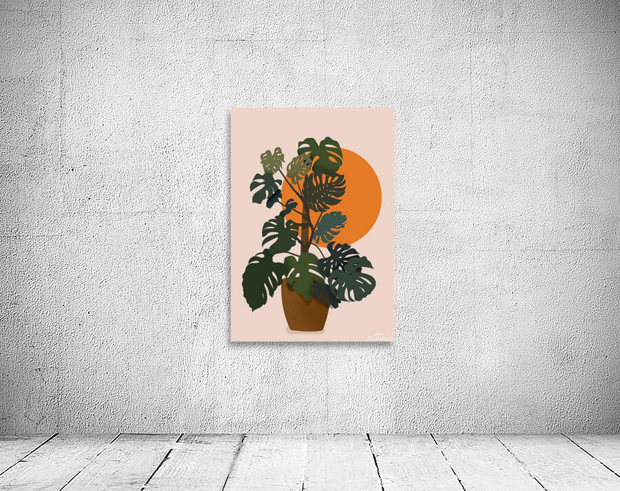 Monstera Plant Circle Wall Preview