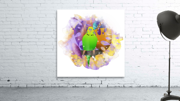 Parakeet Bird Beak Wall Preview