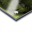 Unyeilding Acrylic print