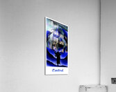 Control Acrylic Print