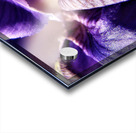 Iris Acrylic print