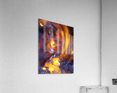 Golden Ratio Acrylic Print