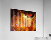 Hidden Canvas Acrylic Print