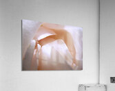 Light and Shade Acrylic Print