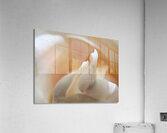 Petal Dance Acrylic Print