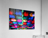 Rain   bow Acrylic Print