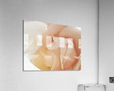 Spoonie Acrylic Print