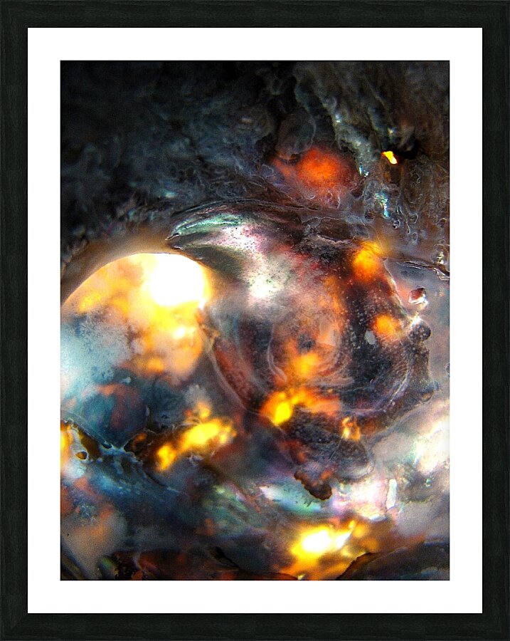 Celestial Dolphin Picture Frame print