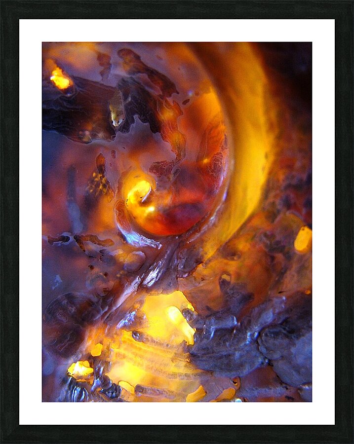 Golden Ratio Picture Frame print