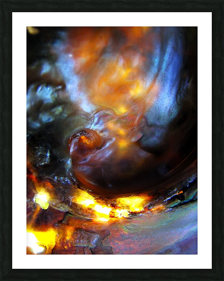 Phoenix Picture Frame print