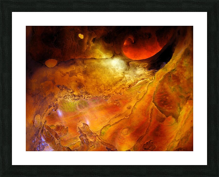 Hidden Canvas Picture Frame print