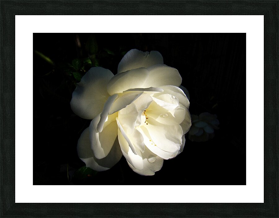 Tranquility Picture Frame print
