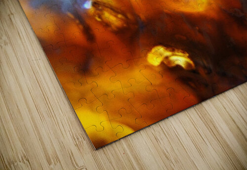 Parallel Earth Arjan Bogaers puzzle