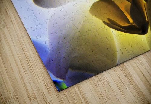 Rosa Illuminata Arjan Bogaers puzzle