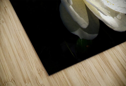 Tranquility Arjan Bogaers puzzle
