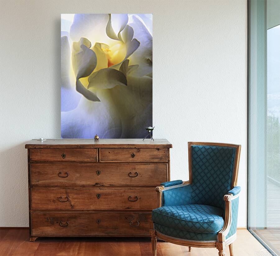 Pastel Rose Reproduction