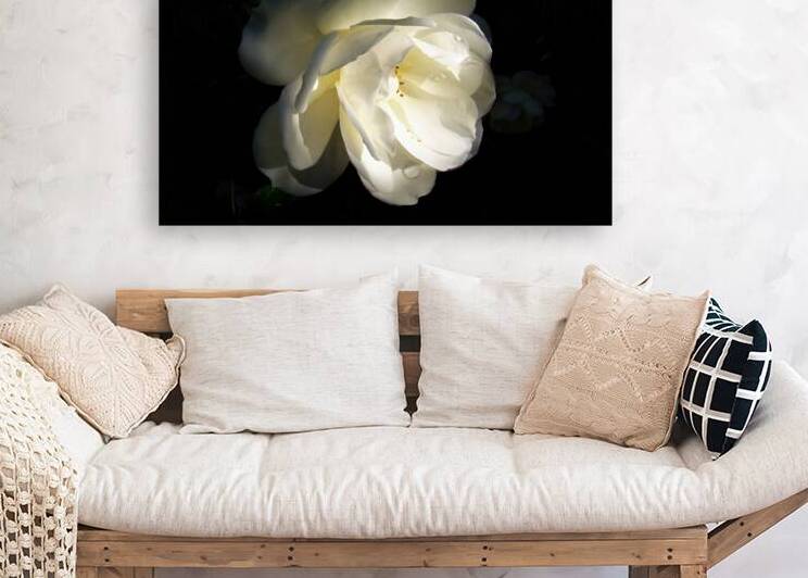 Tranquility Reproduction