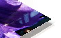 Iris HD Metal print