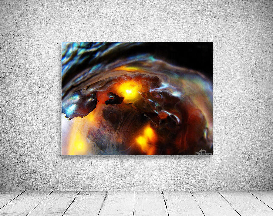 Celestial Butterfly 02 Wall Preview