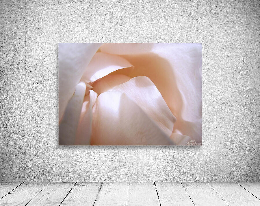 Light and Shade Wall Preview