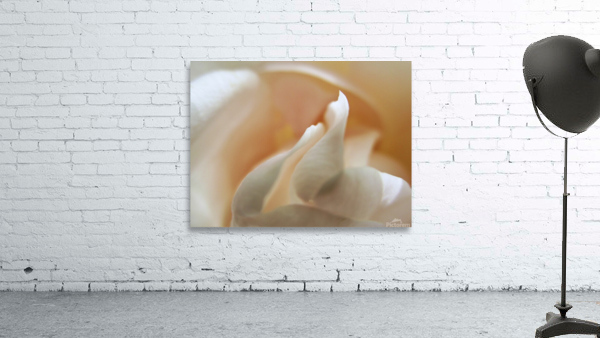 Petal Dance Wall Preview