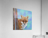 Peek a Boo Acrylic Print