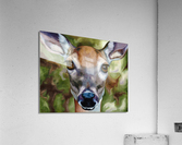 Dear One Acrylic Print