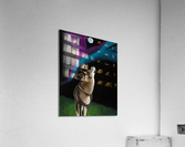 Magical Moon Acrylic Print