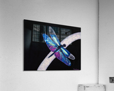 Expansion Acrylic Print