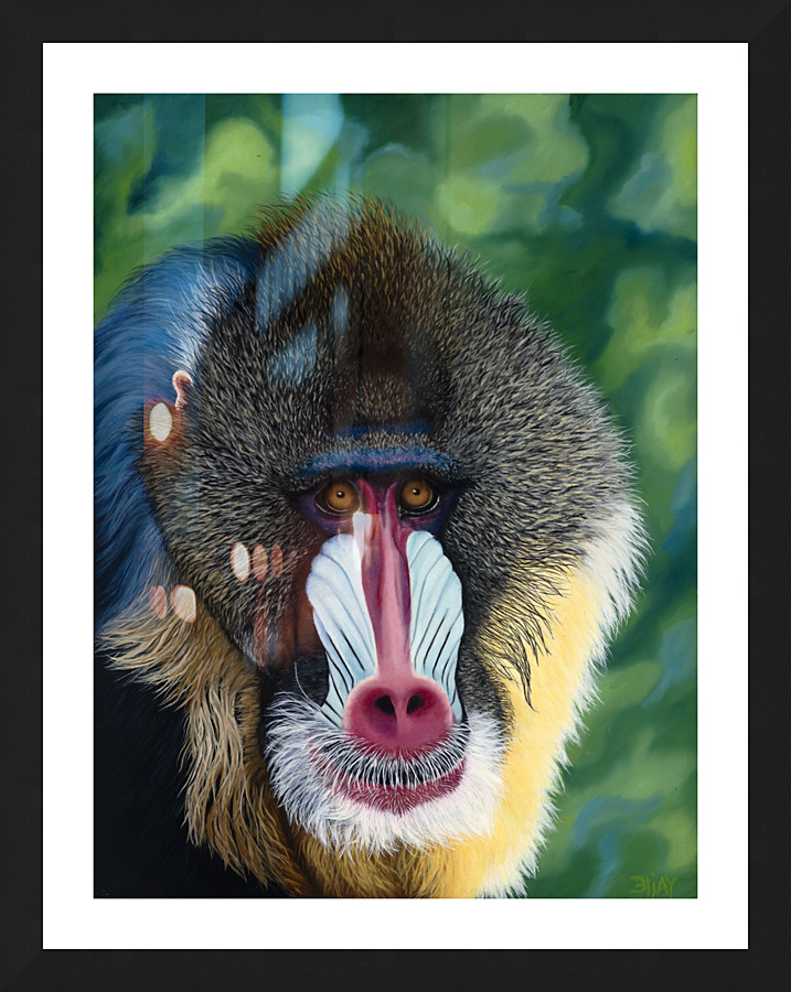 Blue Baboon Impression et Cadre photo
