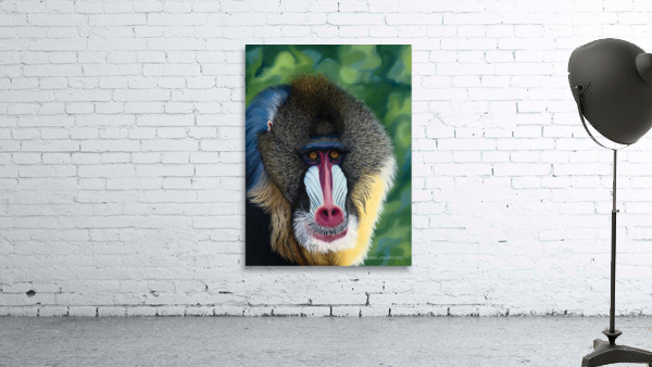 Blue Baboon Aperçu sur mur