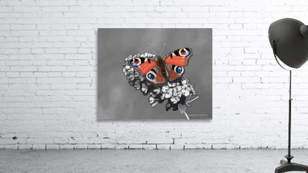 Elegance Wall Preview
