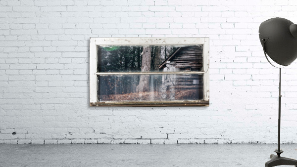 Abandoned Memories Wall Preview