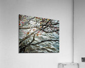 Heart Among Branches   Acrylic Print