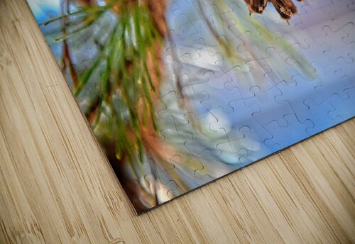 Smith Mountain Lake Pine Cone Mark Barrett Photography puzzle