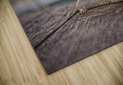 Annapolis Boat Cleat Mark Barrett Photography puzzle