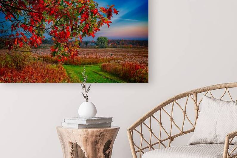  Autumn Colors over Lansing Trail - Finger Lakes Artwork by Mark Barrett Photography