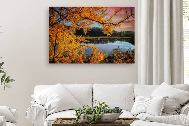 Water Through Autumn Branches Finger Lakes Landscape Fall Print by Mark Barrett Photography