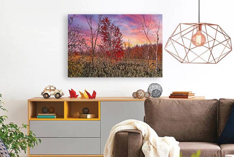 Autumn Tree Finger Lakes NY by Mark Barrett Photography