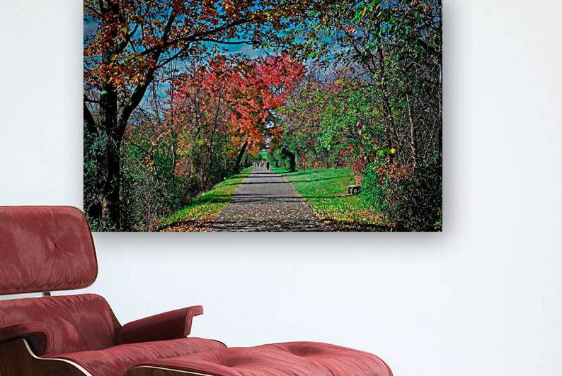 Finger Lakes Running Path Covered by Fall Leaves by Mark Barrett Photography