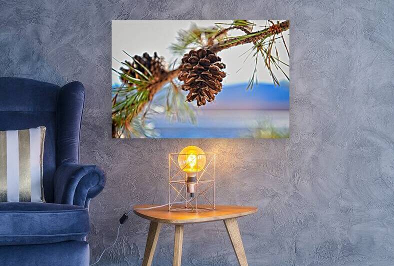 Smith Mountain Lake Pine Cone by Mark Barrett Photography