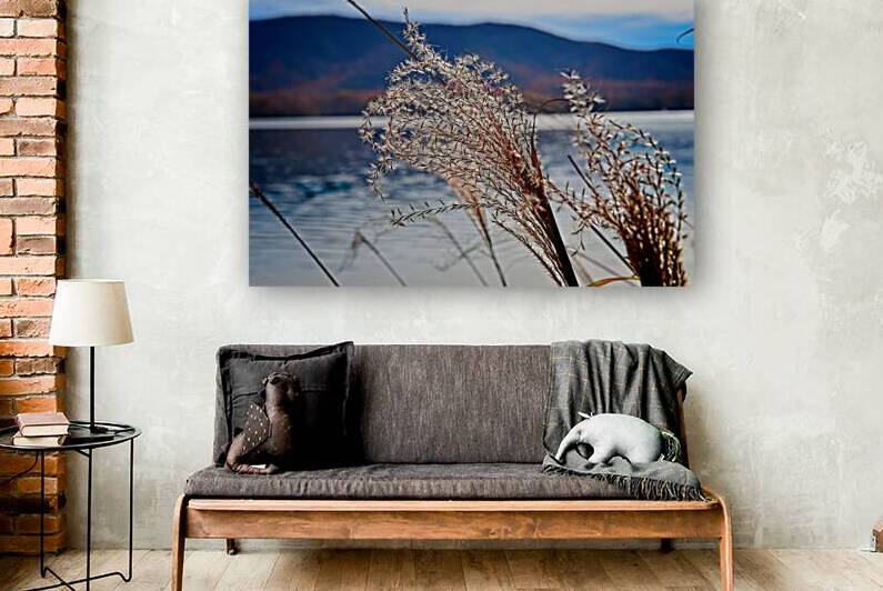 Ornamental Grass Looking over Smith Mountian Lake  by Mark Barrett Photography
