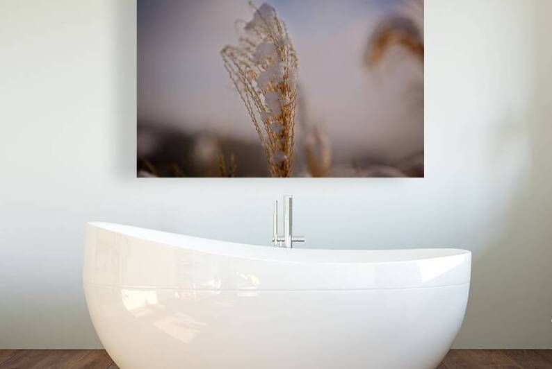 Tall grass up close with snow blowing in winter breeze - Finger Lakes Artwork by Mark Barrett Photography