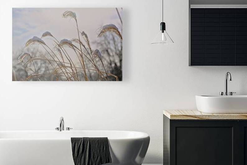 Winter Grass Finger Lakes Artwork by Mark Barrett Photography