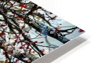 Heart Among Branches   HD Metal print