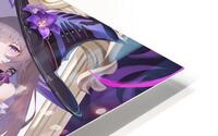 Honkai Starrail 4 HD Metal print