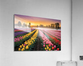 Beautiful Red and Yellow Tulips with sunrise and Clouds Acrylic Print