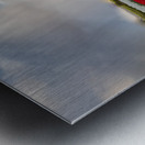 Beautiful Red and Yellow Tulips with sunrise with Windmill   Metal print