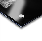 A Symphony of Grace and Charm Acrylic print